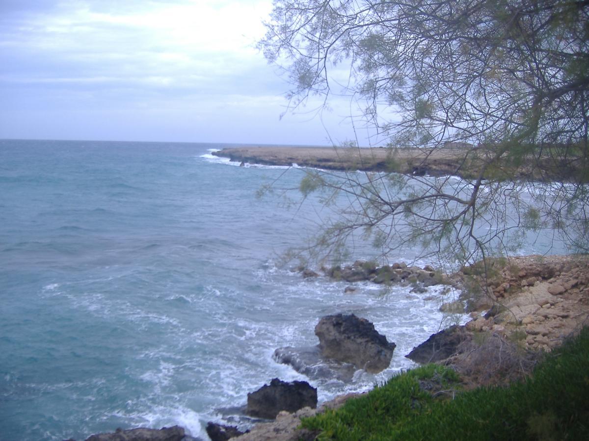 Theresa Hotel At Karpaz Peninsula Agia Trias Zewnętrze zdjęcie
